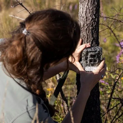 thumbnail for publication: Lens in the Classroom: Ideas to Use Camera Traps in an Educational Setting